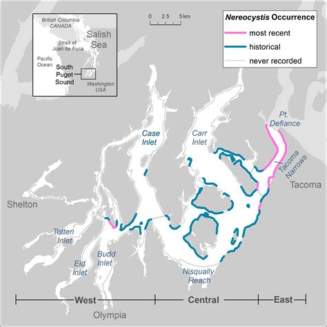 Long Term Changes In Kelp Forests In An Inner Basin Of The Salish Sea