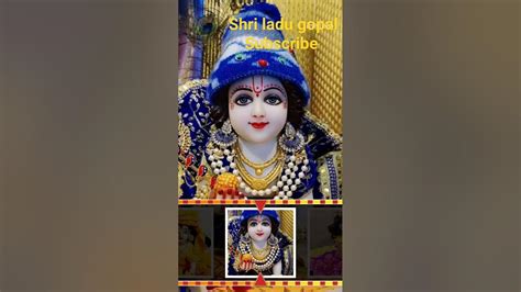 Jay Shri Ladu Gopal How To You Increase Jay Shri Ladu Gopal Viral Video Subscribe Shorts