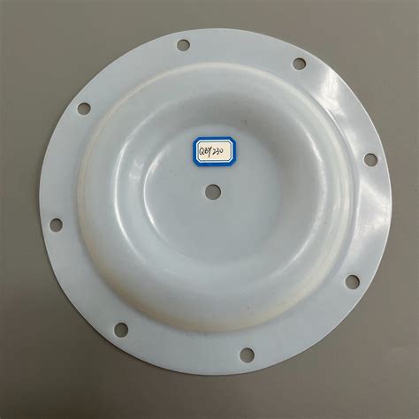 Pump Parts Diaphragm Qby Ptfe Diaphragm China Ptfe Diaphragm And