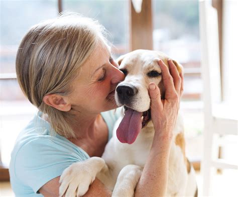 Tiergestützte Therapien Tiere helfen Menschen zu heilen