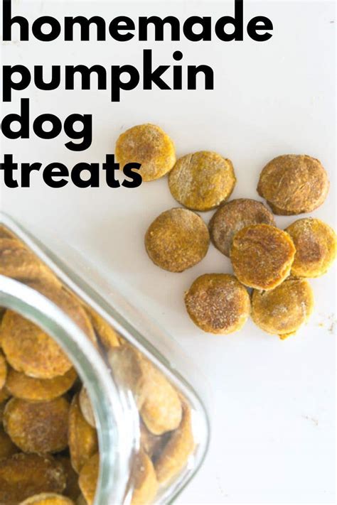 Homemade Pumpkin Dog Treats · Nourish and Nestle