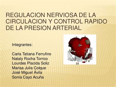 Regulacion Nerviosa De La Circulacion Y Control Rapido De La Presion