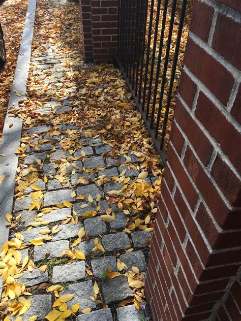 Pin By Courtney On Autumn Aesthetic Love Autumn Aesthetic Sidewalk