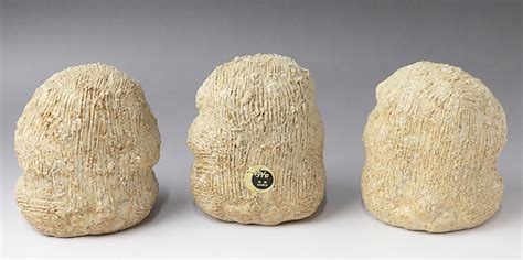 Japanese Pottery Shigaraki Three Wise Monkey Ornaments From Hechimon