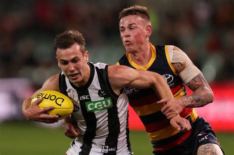 Adelaide Crows Vs Collingwood Tips Preview Odds