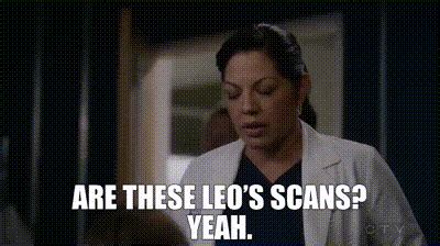 YARN Are These Leo S Scans Yeah Grey S Anatomy 2005