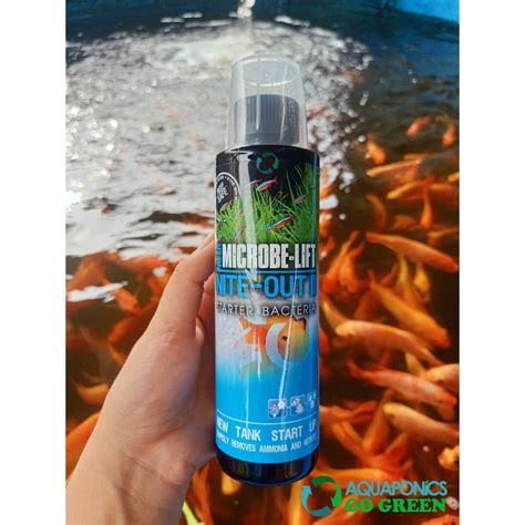 Microbe Lift Nite Out Ii Starter Bacteria Shopee Philippines