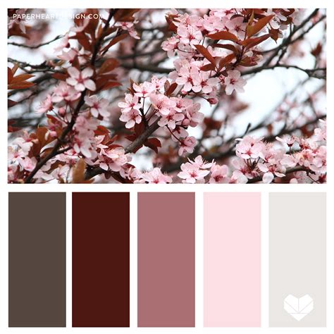 Color Palette: You Can Learn a Lot of Things From the Flowers — Paper ...