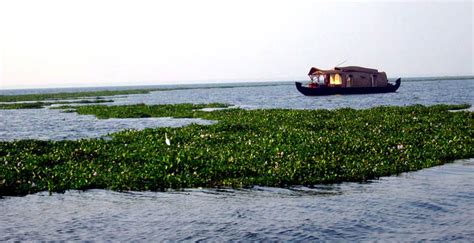 Vembanad Lake Kerala Longest Indian Lake - About Vembanad Lake in Kerala