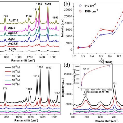 A Sers Spectra Of R6g Adsorbed On Ag Sio2 Nanorods Substrates B