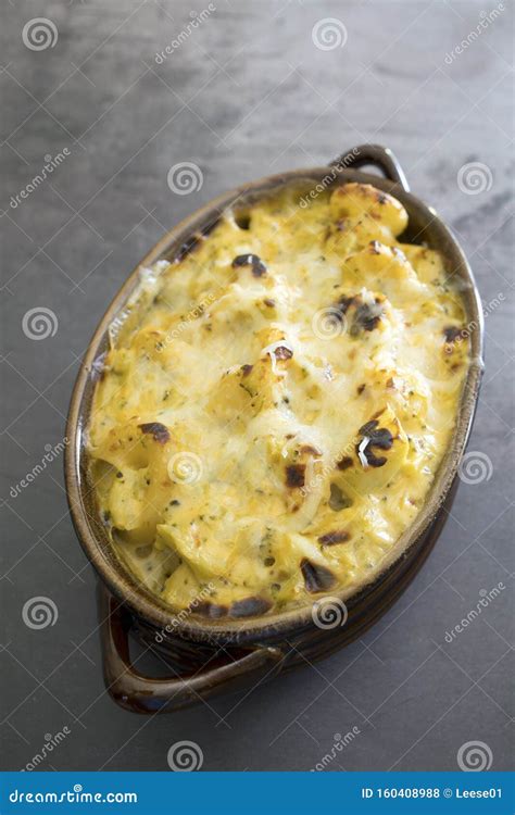 Broccoli and Cheese Pasta Bake Stock Photo - Image of sauce, bake: 160408988