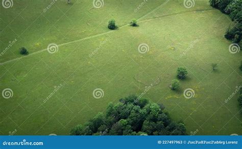 Pastos Verdes En La Vista Aérea De Los Pájaros Del Alba De La Región