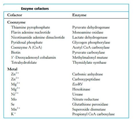 CLASSIFICATION OF ENZYMES AND ENZYME KINETIC | ZOOLOGYTALKS | 2025