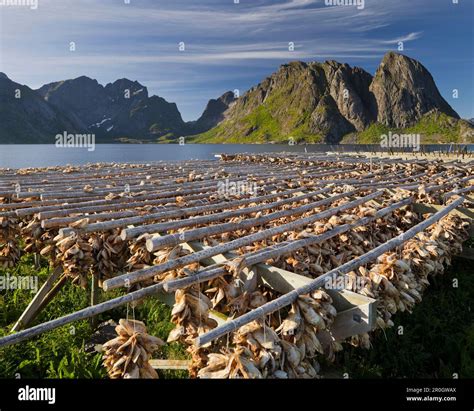 Stockfish dishes hi-res stock photography and images - Alamy