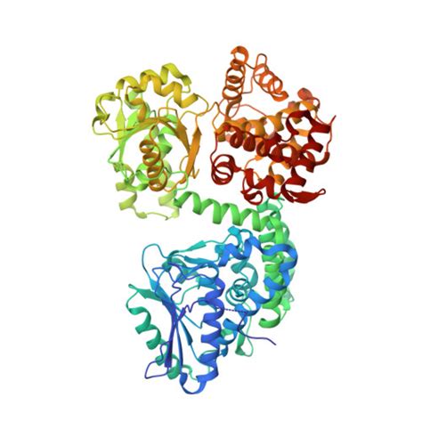 RCSB PDB 8OPX Structure Of Mycobacterium Tuberculosis Beta Oxidation