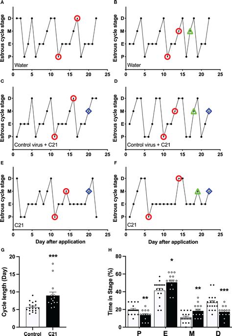 Frontiers Chemogenetic Activation Of Pvn Crh Neurons Disrupts The