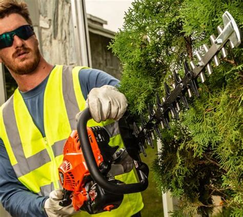 Best Hedge Trimmers of 2023: In-Depth Reviews | M3Tools