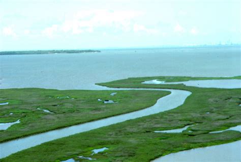 Marsh surrounding the Nueces River entering Nueces Bay. | Download Scientific Diagram