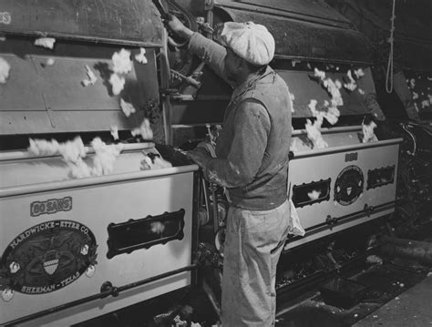 The Invention of the Cotton Gin and Its Historic Impact