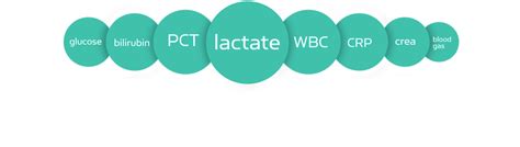 Lactate As An Aid In Sepsis Diagnosis And Management Radiometer