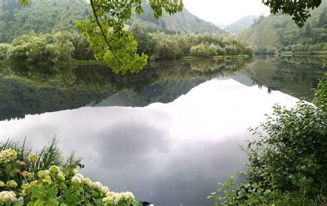 El Arte De Vivir Con Calma Agua De Flores