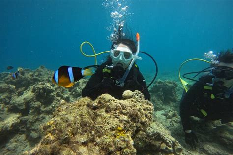 Experiencia De Curso De Buceo Para Principiantes De Horas En La