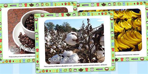 Fairtrade Display Photo Powerpoint Professor Feito