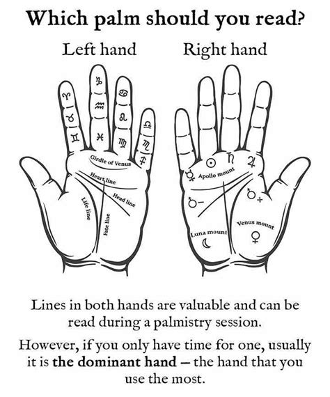 Which Palm Should You Read Left Or Right Palm Reading Charts Palm