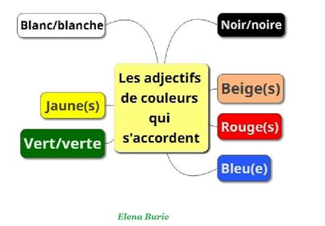 L´accord Des Adjectifs De Couleur