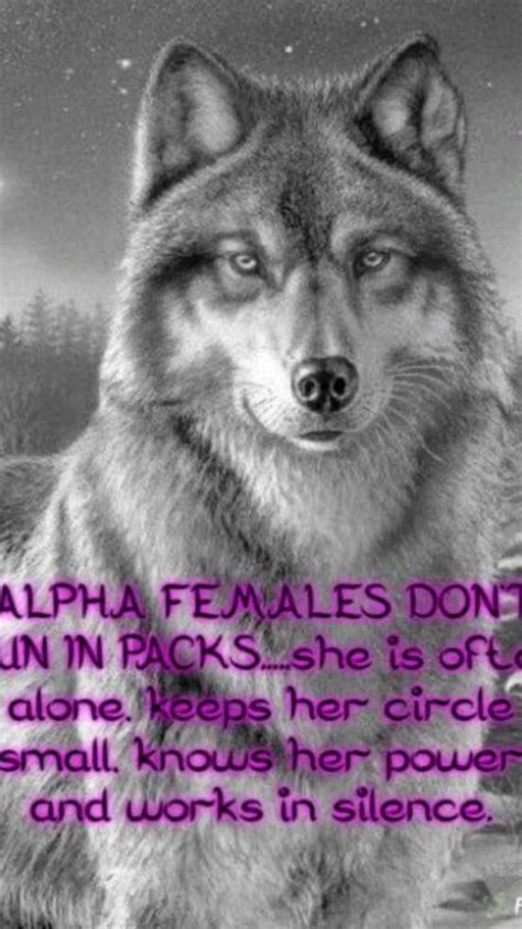 wolves | Inspirational animal quotes, Warrior quotes, Wolf pack quotes