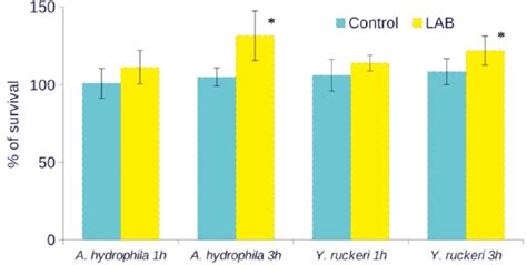 Immune Enhancing Activity Of Potential Probiotic Strains Of