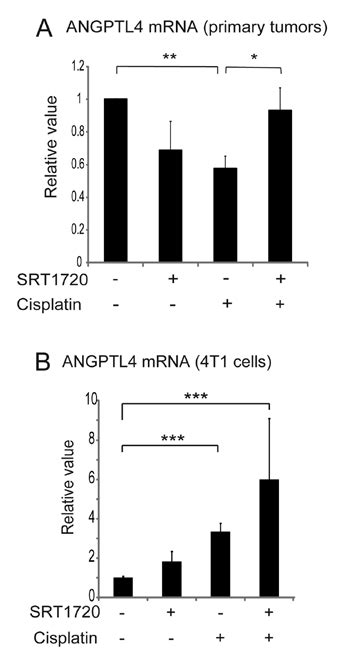 Effects Of SRT1720 And Or Cisplatin On ANGPTL4 MRNA Levels In Primary