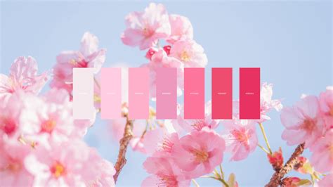 Cherry Blossom color palette [3840X2160] : wallpaper