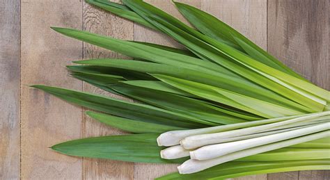 10 Surprising Health Benefits Of Lemongrass