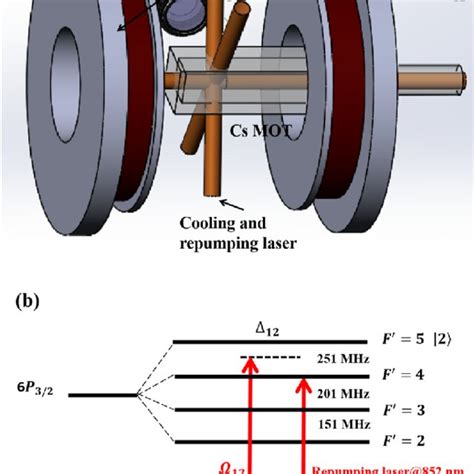 Relevant Hyperfine Levels For Cs Atomic Mot A Schematic Diagram Of