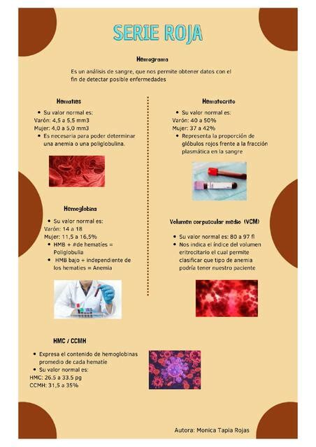 Infograf A Serie Roja Monica Mioleth Tapia Rojas Udocz