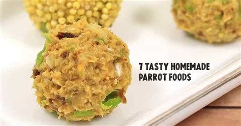 7 tasty homemade parrot foods your bird will love - Bird Vibes | Parrot ...