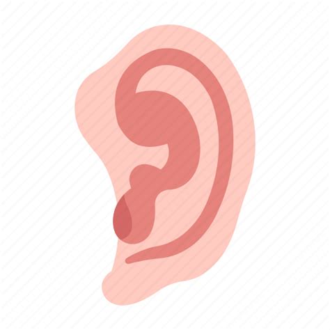 Body Ear Hear Human Sound Icon Download On Iconfinder