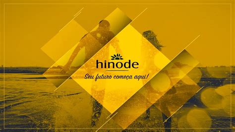 Novo Plano De Marketing Hinode Junho 2016 By Eder Cibin Issuu