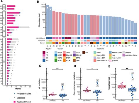 Frontiers Neoepitope Load T Cell Signatures And Pd L As Combined