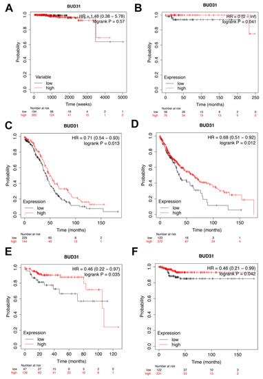 Ijms Free Full Text Downregulation Of Bud Promotes Prostate