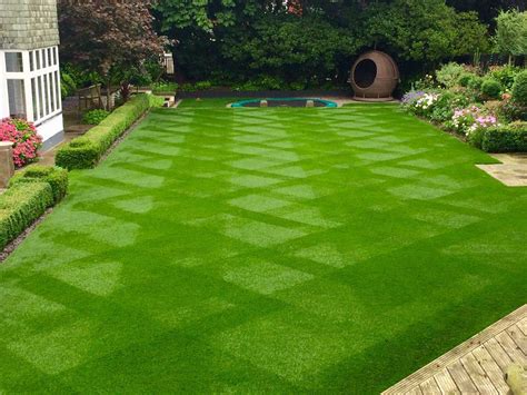 Tips For Having The Best Lawn Possible My Decorative