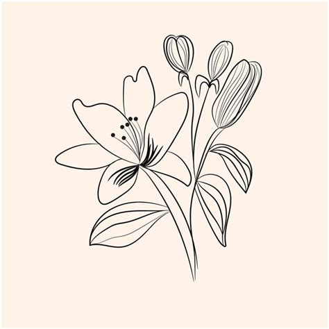 Elementos Decorativos Florales Dibujados A Mano Por Vector Vector Premium