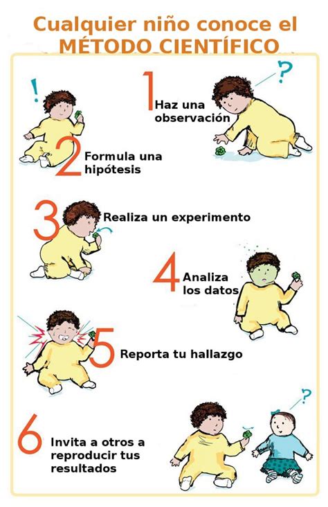 Metodo Cientifico En La Vida Diaria Ejemplos Opciones De Ejemplo