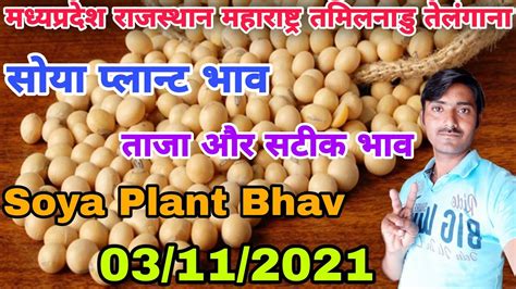 मध्यप्रदेश सोया प्लान्ट भाव।03112021।सोया प्लान्ट भाव जानिए आज के भाव