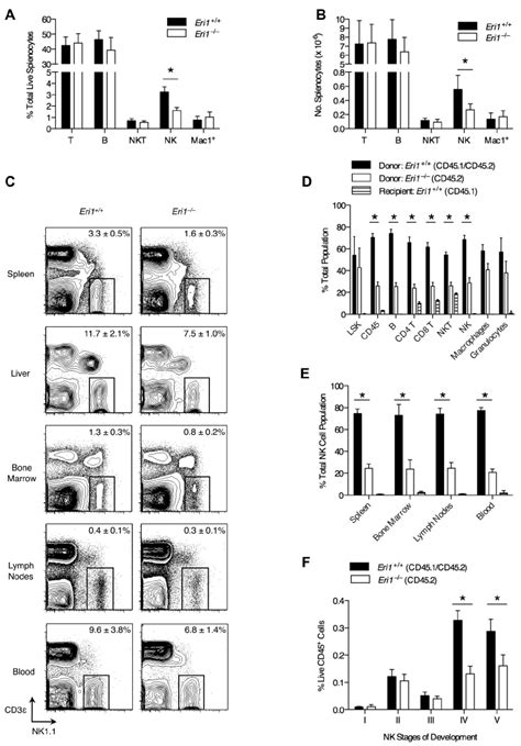 Nk Cell Deficiency In Eri1 ؊ ؊ Mice A Frequency And B Absolute Download Scientific