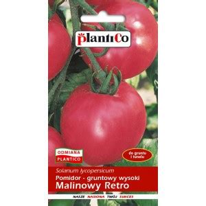 Pomidor Gruntowy Malinowy Bosman 0 5g PlantiCo Sklep Gardenowo