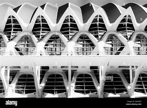 Science Museum, Architecture in Valencia, Spain Stock Photo - Alamy