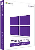 Microsoft Windows Pro