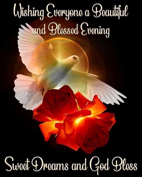 Roses And Dove Wishing Everyone A Beautiful And Blessed Evening Quotes